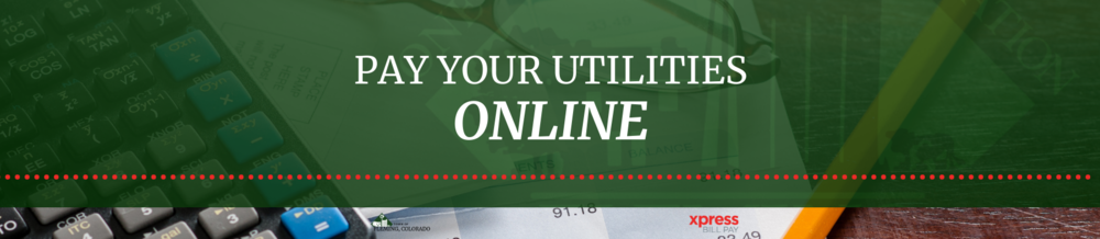 Town of Fleming online utility payments
