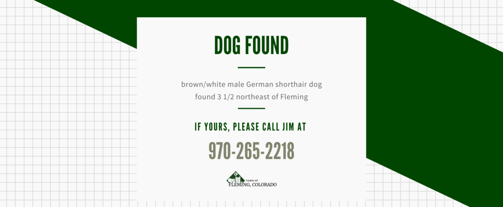 Fleming Colorado lost dog
